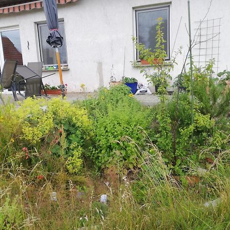 Ferienwohnung Wittenburg Exterior foto