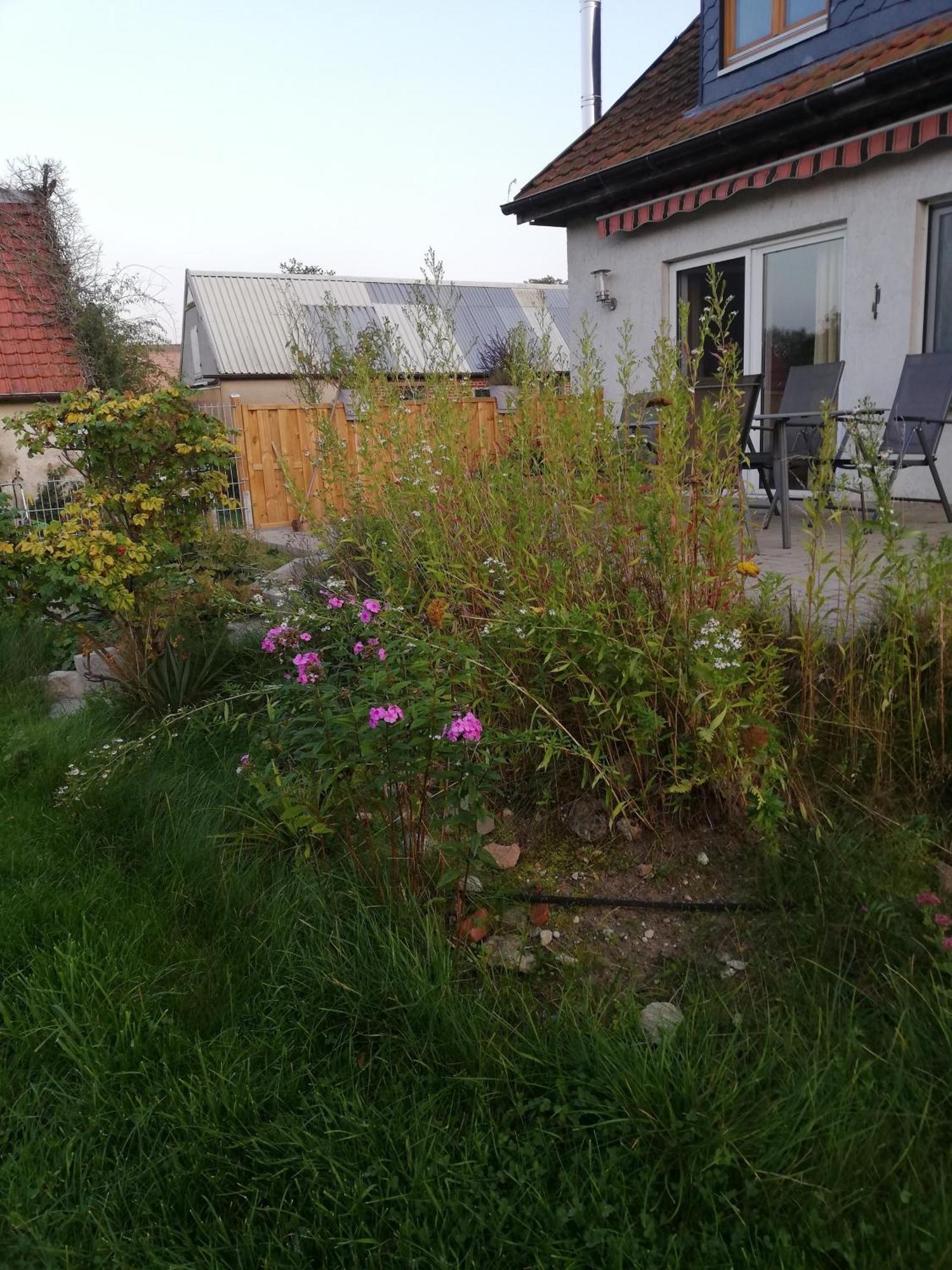 Ferienwohnung Wittenburg Exterior foto